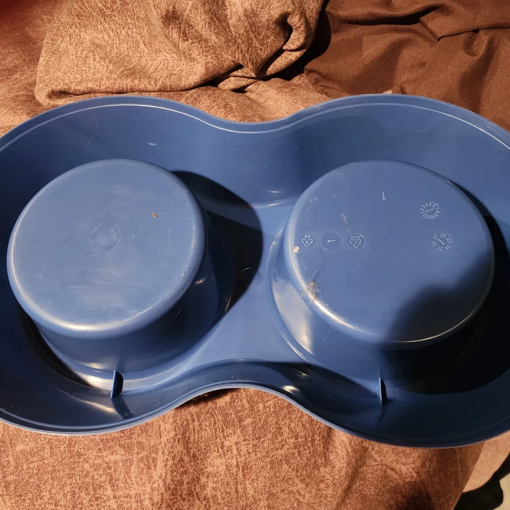 Blue Double Dog Bowl